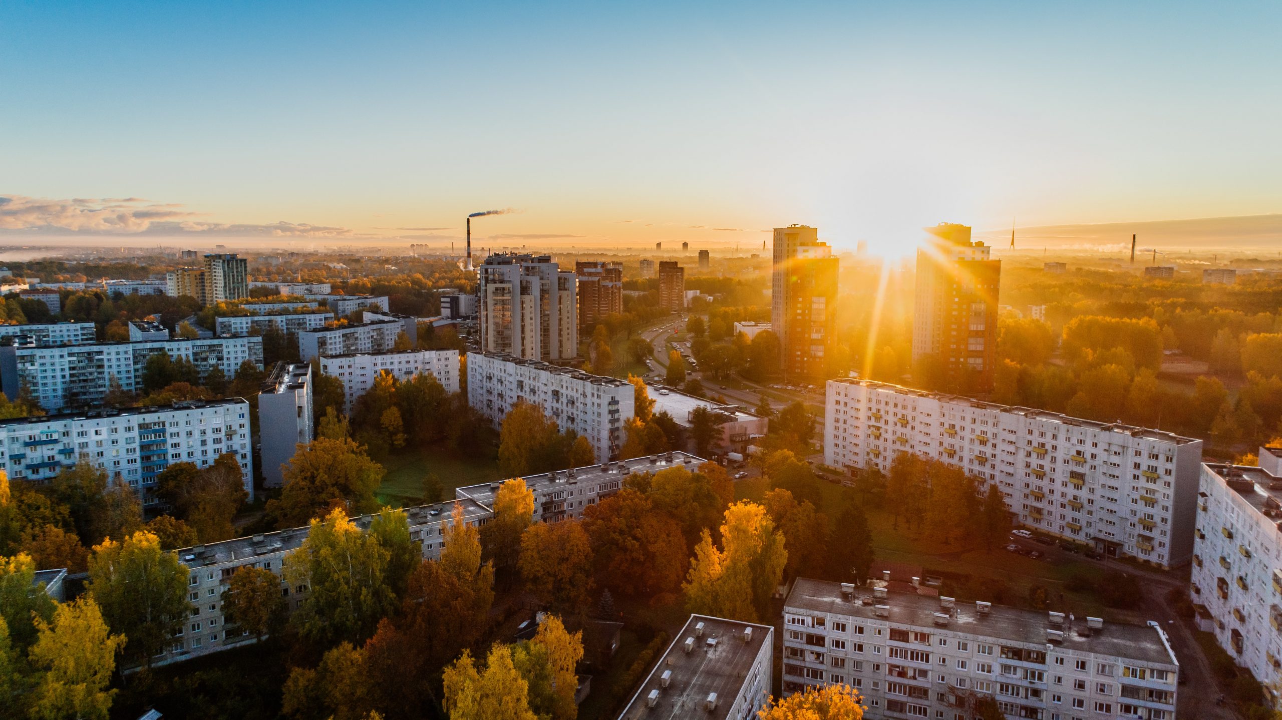 pexels-aleksejs-bergmanis-681368